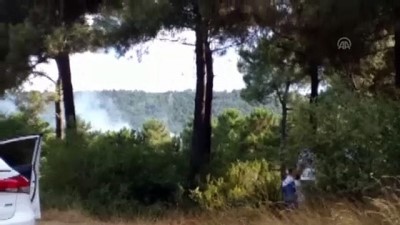 Sultanbeyli'de Ormanlık Alanda Yangın
