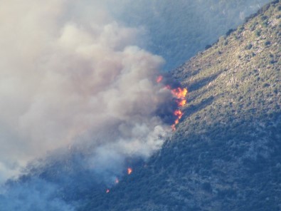 Antalya'da korkutan yangın... Müdahale ediliyor