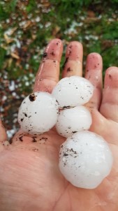 Sinop'a Ceviz Büyüklüğünde Dolu Yağdı