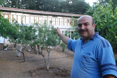 Kümes Hayvanlarına İki Katlı Ev Yaptırdı