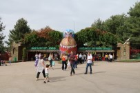 DOĞURGANLIK - Bayram Tatilinde Gaziantep Hayvanat Bahçesi'ne Yoğun İlgi