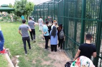 ORDUZU - Malatya Hayvanat Bahçesi'nde Bayram Yoğunluğu