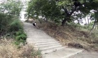 (Özel) Büyükçekmece'de Merdivenlerden Bisikletle İnmek İsteyen Genç Basamaklardan Takla Attı