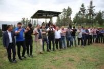 ORGANİK SEBZE - Ayvalı Köyü'nde Festival Coşkusu
