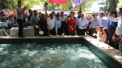 Bereketli Olsun Diye Dilek Havuzuna Kayısı Döktüler