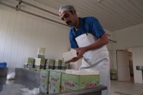 Doğal Üretilen Bu Peynirden Alabilmek İçin Bir Çok İlden Geliyorlar Haberi