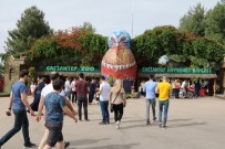 GAZİANTEP HAYVANAT BAHÇESİ - Gaziantep Hayvanat Bahçesine 3 Günde 600 Bin Ziyaretçi