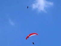 Havada şahin saldırdı!