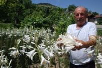 Hobi Olarak Başladı, Taleplere Yetişemiyor