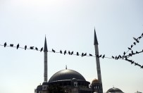 TAKSİM CAMİİ - İstanbul'un Yeni İncisi Taksim'e Güzellik Katıyor