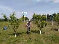 CEMİL MERİÇ - Özel Öğrencilerden Anlamlı Bayramlaşma