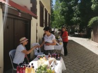 Tamzara'da Organik Pazar Sezonu Açıldı Haberi