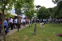 TELEFERIK - Teleferiğe Rekor İlgi