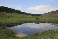 Bin 800 Rakımda Harika Manzaralar