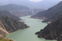 DERİNER BARAJI - Çoruh Nehri yeşile büründü