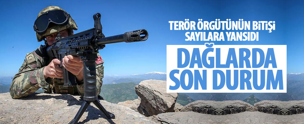 Süleyman Soylu'dan dikkat çeken açıklama