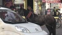 Kars'ta Ürken At Araca Çarparak Durdu