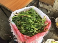 KARAKURT - Sarıkamış'ta 'Çaşır' Tezgahlardaki Yerini Aldı