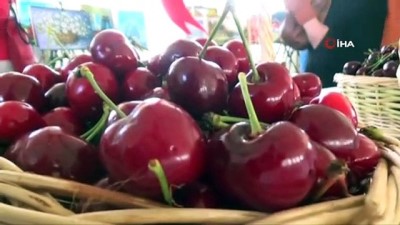 Tekirdağ'da 'En İyi Kiraz Yarışması'