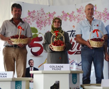 Yaşlı Teyzeden Büyük Başarı