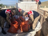 İNCİ KEFALİ - Jandarma Ekipleri Balık Nöbetinde