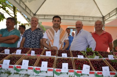 Kuşadası Kirazlı Kiraz Festivali 7 Yıl Sonra Yeniden Düzenlendi