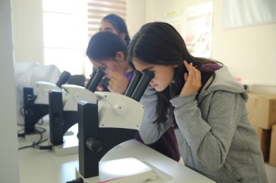 Öğrenciler, Entomoloji Laboratuvarı Ziyaret Etti