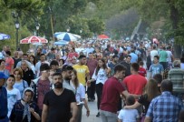 KİRAZ FESTİVALİ - (Özel) 200 Binlik İlçe 2 Milyona Katlandı