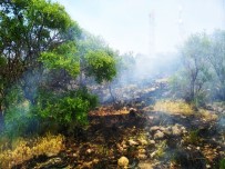 HASANDEDE - Pasinler'de Yangın Korkuttu
