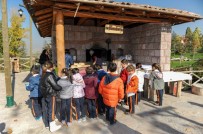 BALCı - Anadolu'nun Renkleri Altındağ'da