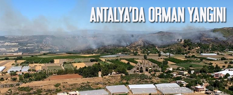 Antalya'da 6 hektarlık alan zarar gördü