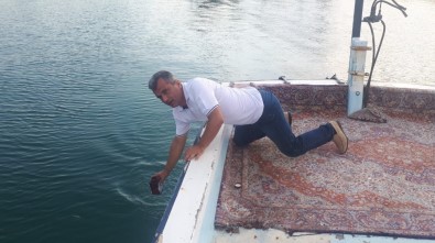 Deniz Ve Havuz Suları Sıkı Takip Altında