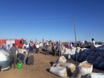 Diyarbakır'da Tonlarca Saman Kül Oldu