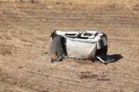 GAZİ YAŞARGİL - Köpeğe Çarpmamak İçin Direksiyonu Kırdı, Tarlaya Uçtu