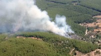 KARACAHISAR - Milas'ta Orman Yangını