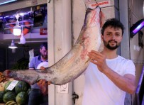 AV YASAĞI - Yasak Bitti, Tatlısu Balıkları Tezgahları Süsledi