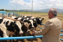 ATATÜRK ÜNIVERSITESI - Zirai Bilimlerde Dünya İle Rekabet Ediyorlar