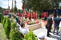 251 Şehide 251 Fidan