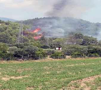 Dalaman'daki Yangının İlk Çıkış Anının Fotoğrafları Ortaya Çıktı