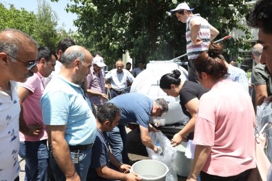 Diyarbakır'daki Göletlere 121 Bin Sazan Balığı Yavrusu Bırakıldı