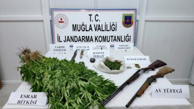 Jandarmadan Yatağan'da Esrar Ve Tarihi Eser Operasyonu