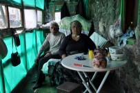 Kars'ta Yaşlı Çiftin Tek Odada Yaşam Mücadelesi Haberi
