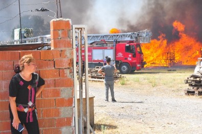 Manisa'da Ot Yangını Palet Fabrikasını Küle Çevirdi