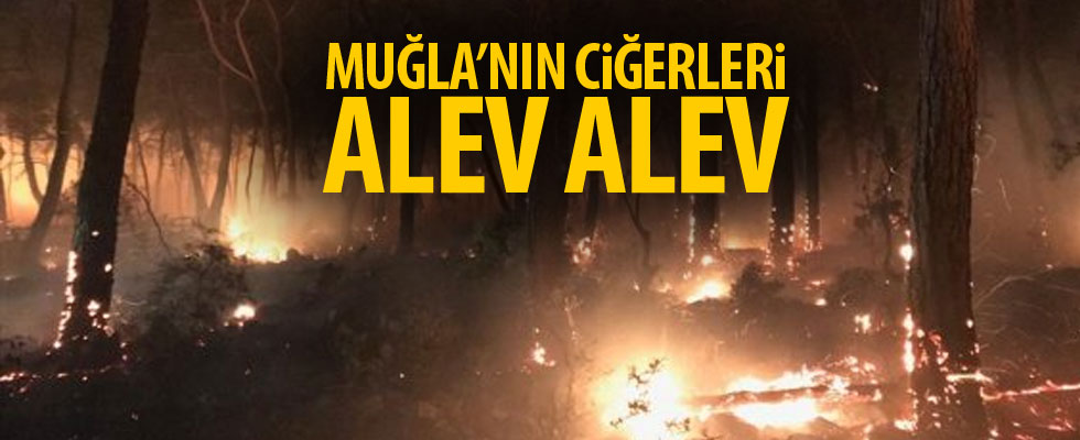 Muğla'nın Ciğerleri Alev Alev