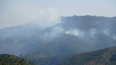 Suriye Sınırındaki Orman Yangını Devam Ediyor