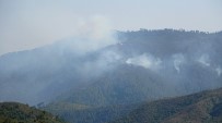 LAZKİYE - Suriye Sınırındaki Orman Yangını Devam Ediyor