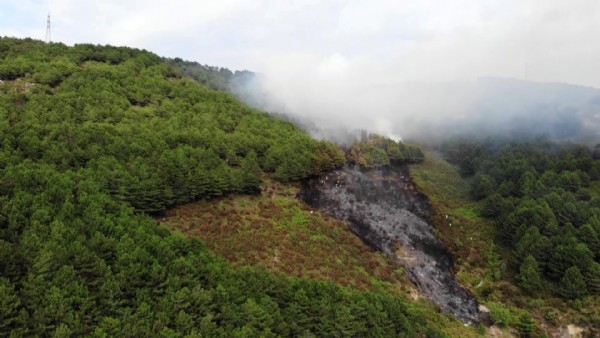 Aydos ormanlarında yangın!