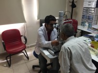 LENS - 60 Yıl Sonra Yeniden Görmeye Başladı