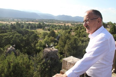 Başkan Bayındır Açıklaması 'Beyşehir Leylek Cenneti Konumuna Büründü'