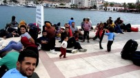 İNSAN TİCARETİ - Çeşme'de Bir Günde 210 Göçmen Ve 5 Organizatör Yakalandı